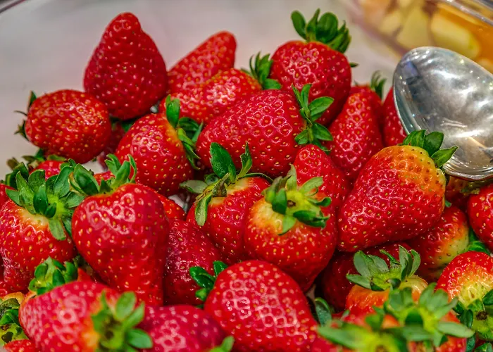 Hotel Atlante Garden Rome